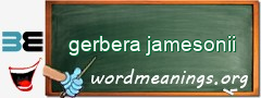 WordMeaning blackboard for gerbera jamesonii